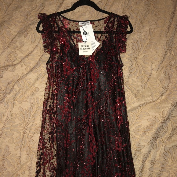 Opening Ceremony Tulle Maxi Dress - Picture 7 of 8